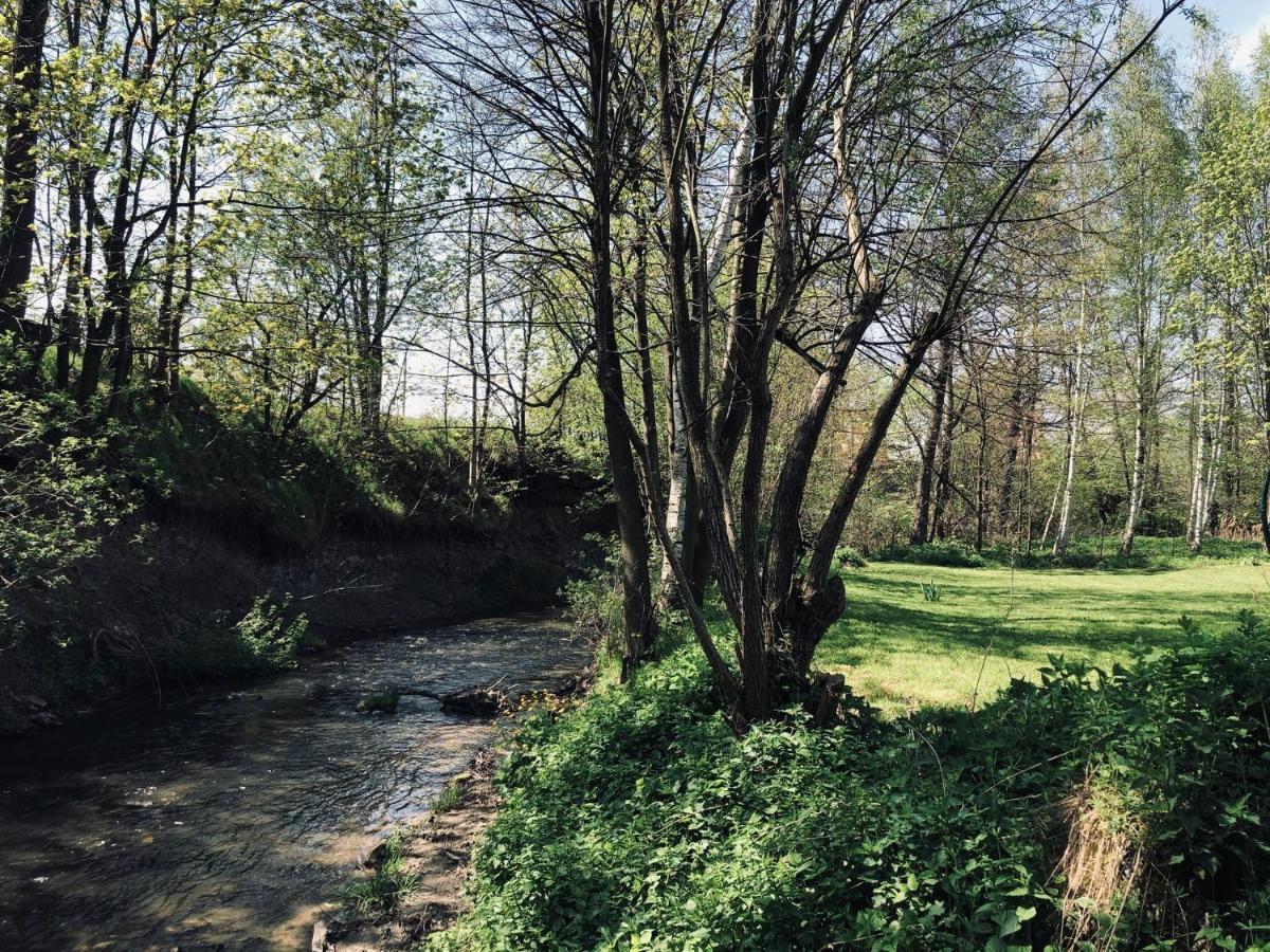 Domek Caloroczny Na Wylacznosc Niebieska Osada Nad Gorskim Potokiem Stary Waliszow Exterior photo